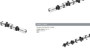Imagen de ARBOL DE LEVAS PEUGEOT 206/306/PARTNER CT C4/C5/XSARA